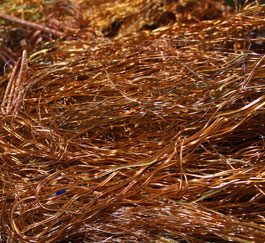copper-berry
